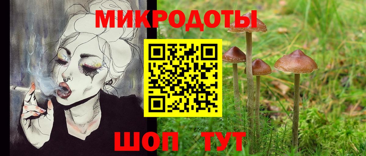 Галлюциногенные грибы MAGIC MUSHROOMS  Вход с VPN  закладки  Новошахтинск 