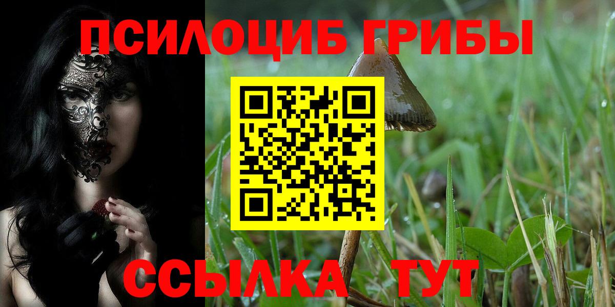 Галлюциногенные грибы мухоморы Новошахтинск